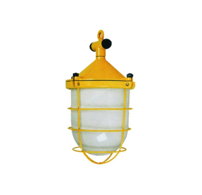 Marine High-Power Pendant Light – CGD1